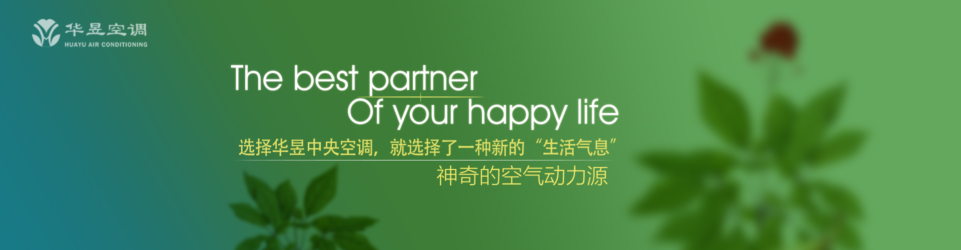 青楼楚馆网